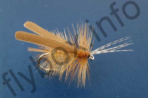 Palu's Red Sedge